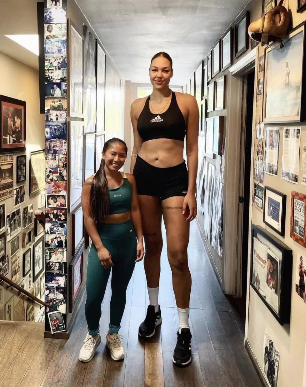 Elizabeth Cambage And Nudes By Fangfangclub