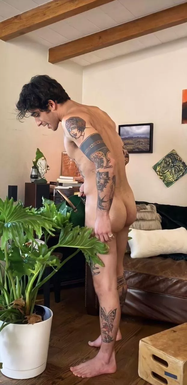 Tyler Posey American Actor Nudes By Astroblueastro