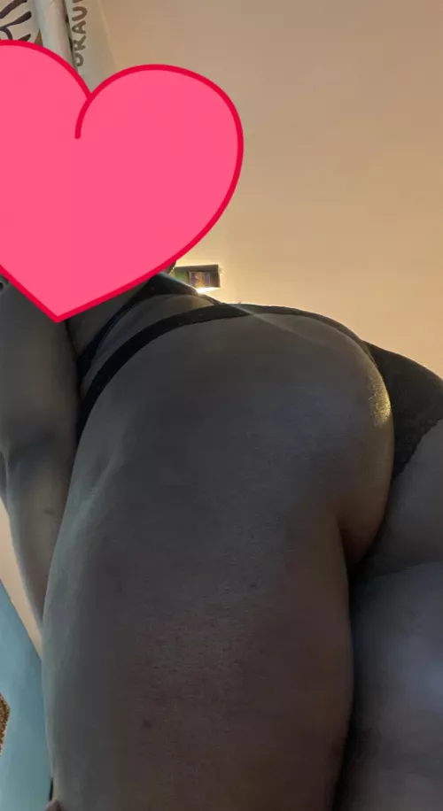 🍫🍪🍫🍪🍫🍪