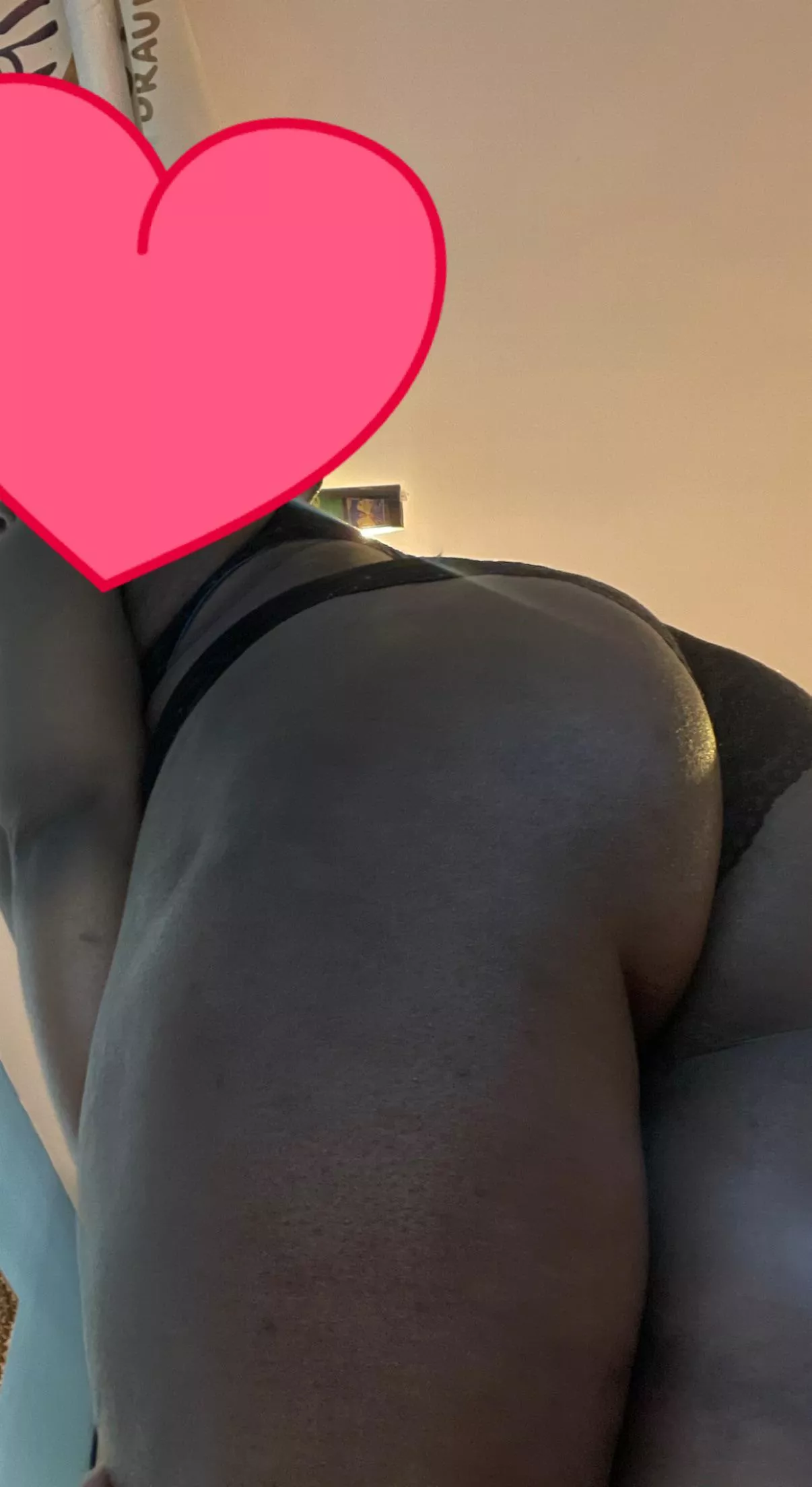 🍫🍪🍫🍪🍫🍪