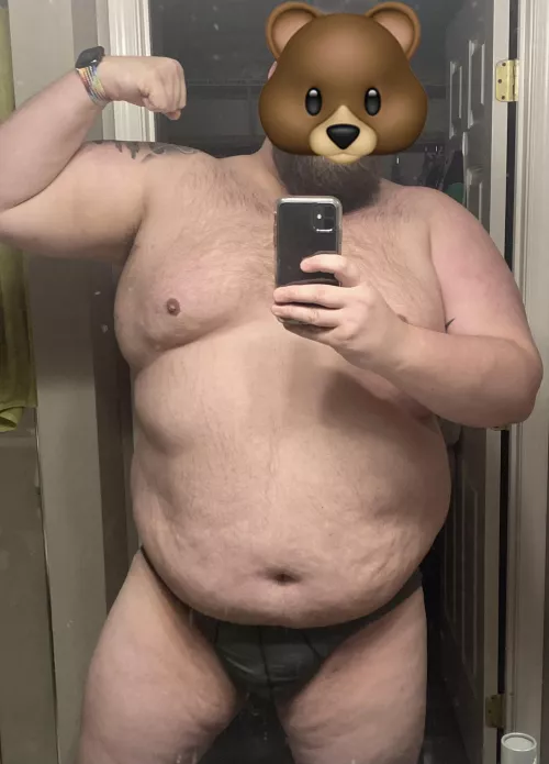 🐻🐻🐻