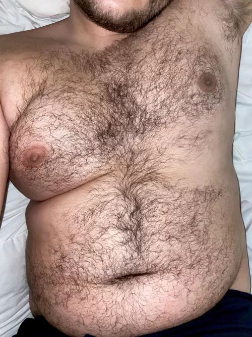 🐻