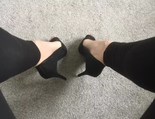 ☘️☘️☘️☘️