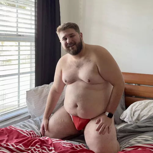 🐻