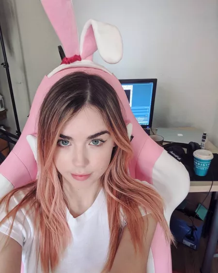 🐰