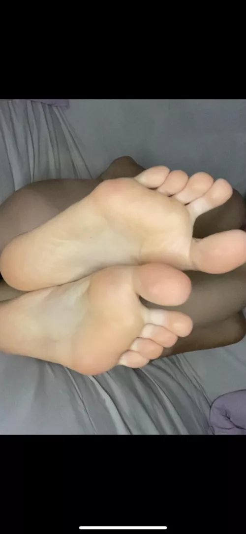 🧸