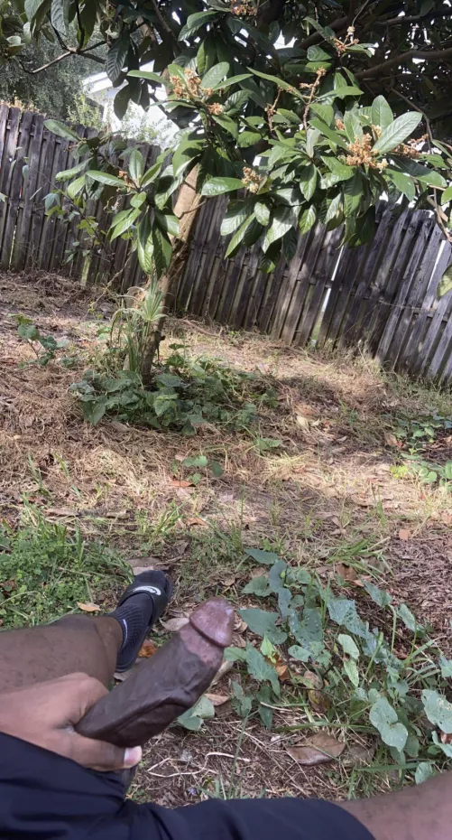 🌹