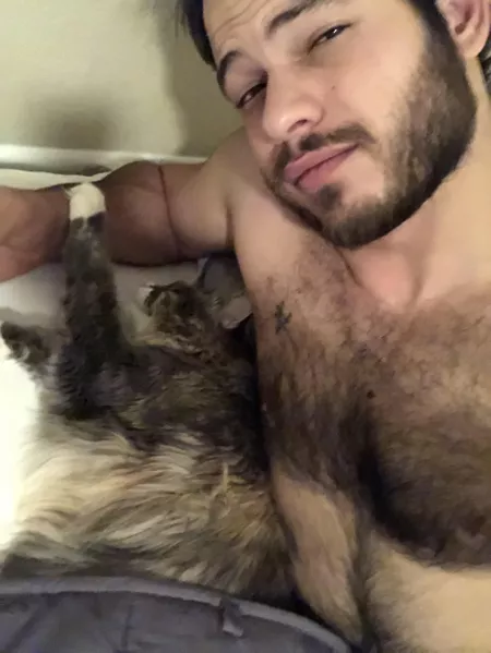 😸
