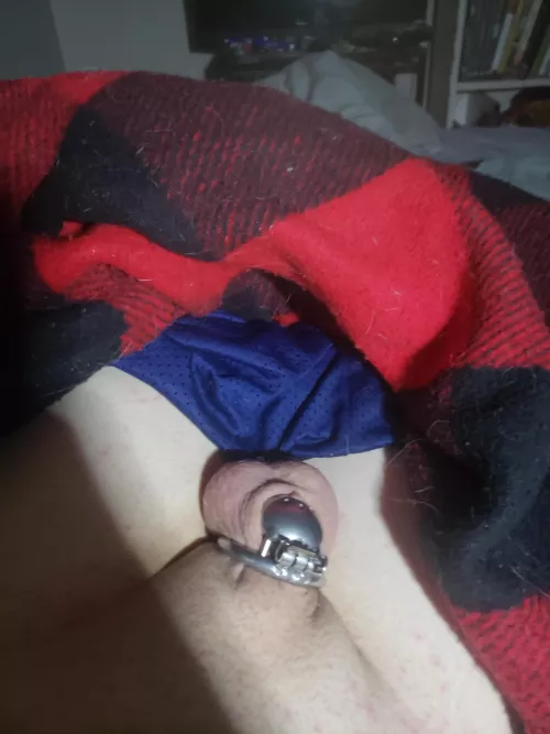 🥵🥺
