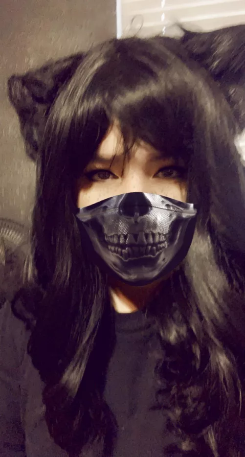 😸☠️
