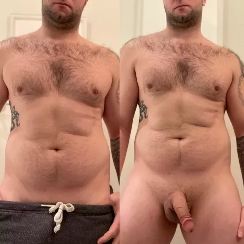 🐻