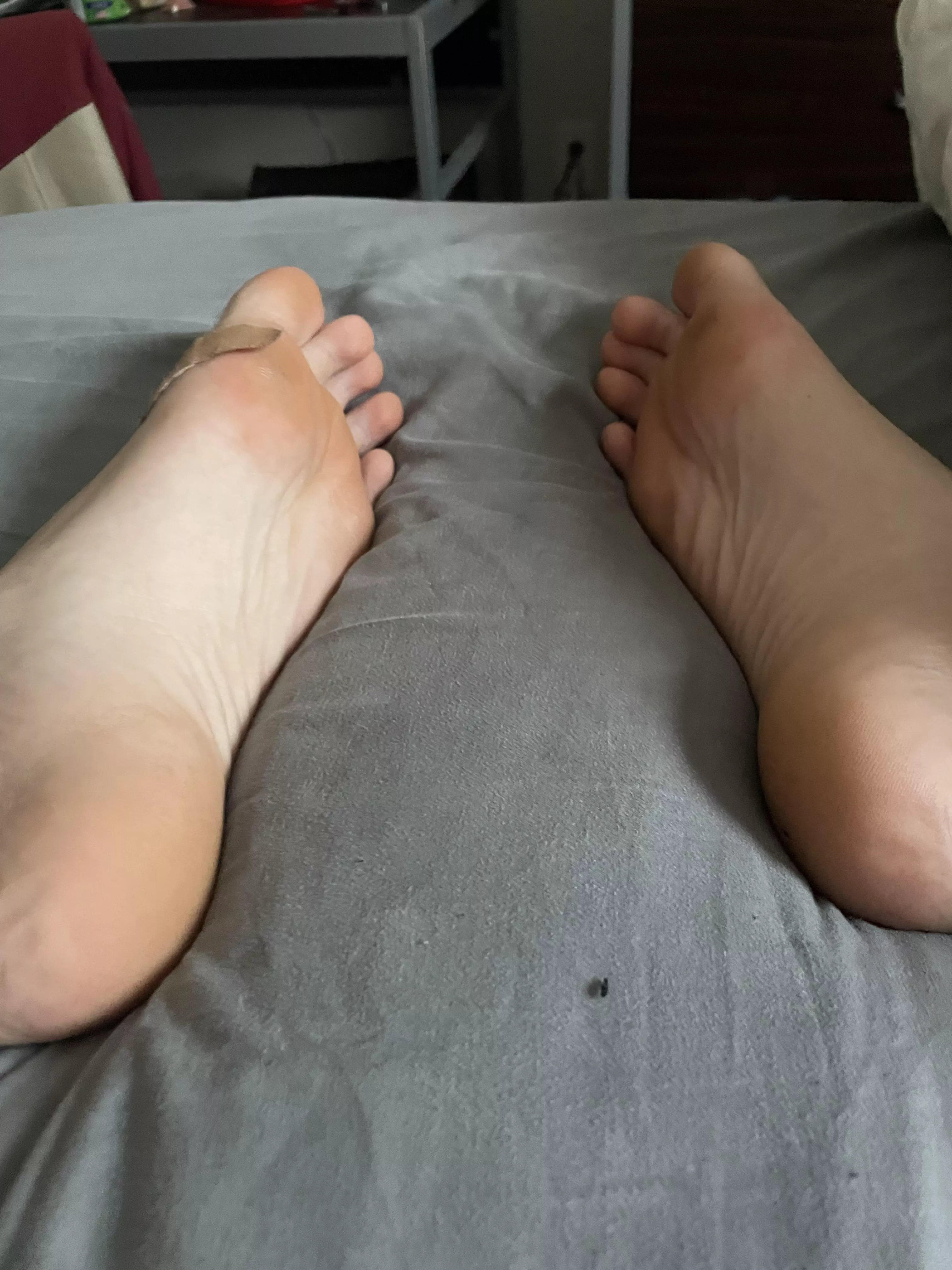 18 8” hs alpha hmu if u are a freak and will do whatever ur master wants ;)