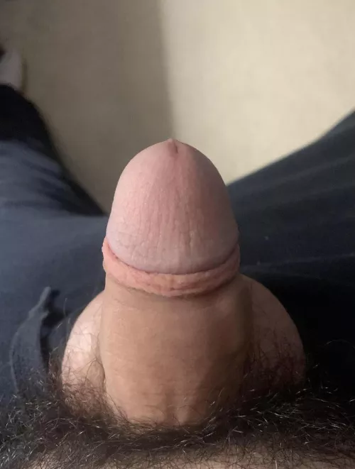 [18] Do I fit in here?