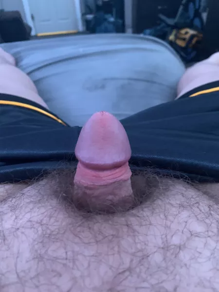 (18) first time posting my hard little dick