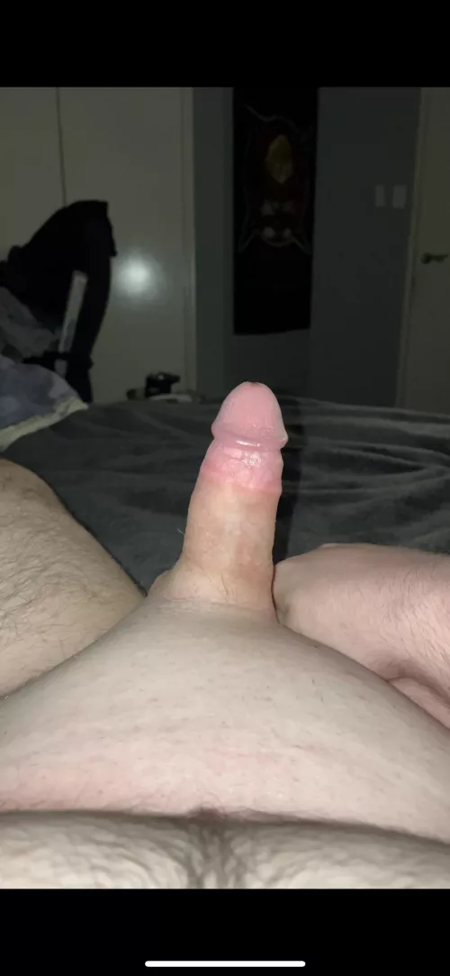 [18] I hope it’s not too small for you