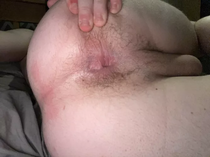(18) M need an owner for christmas