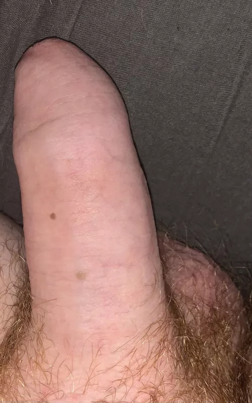 (18) my little semi
