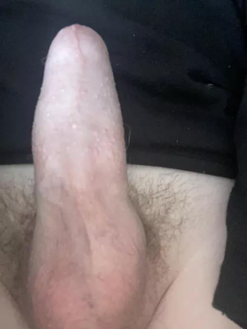 [18] pm me Help me with my morning wifi and I’ll cum on anyone you want
