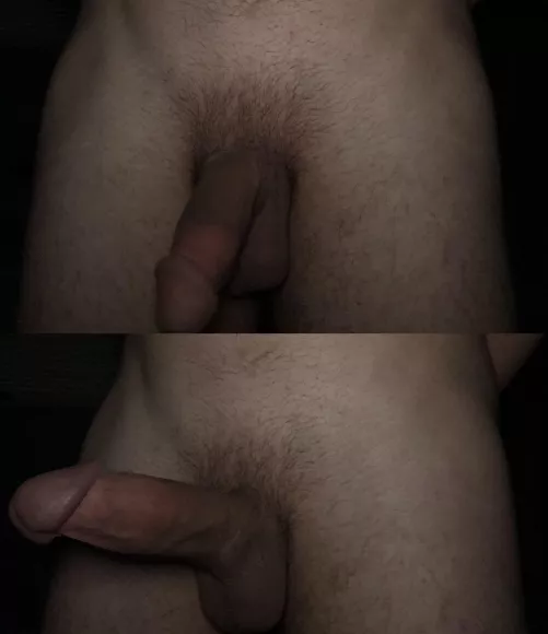 18 - sfwpremium