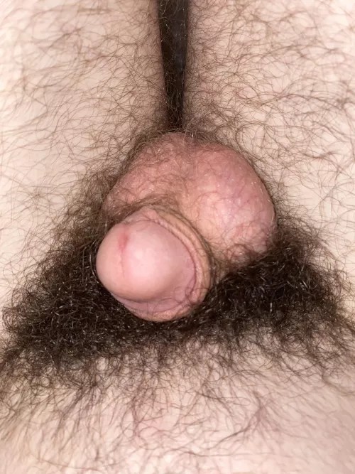 [18] Tiny and hairy😊