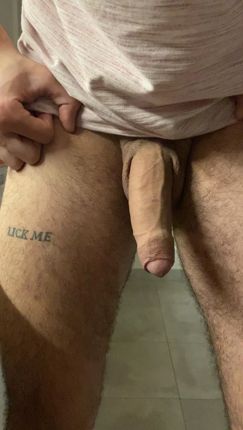 18 years old cock ready to be treated well😍