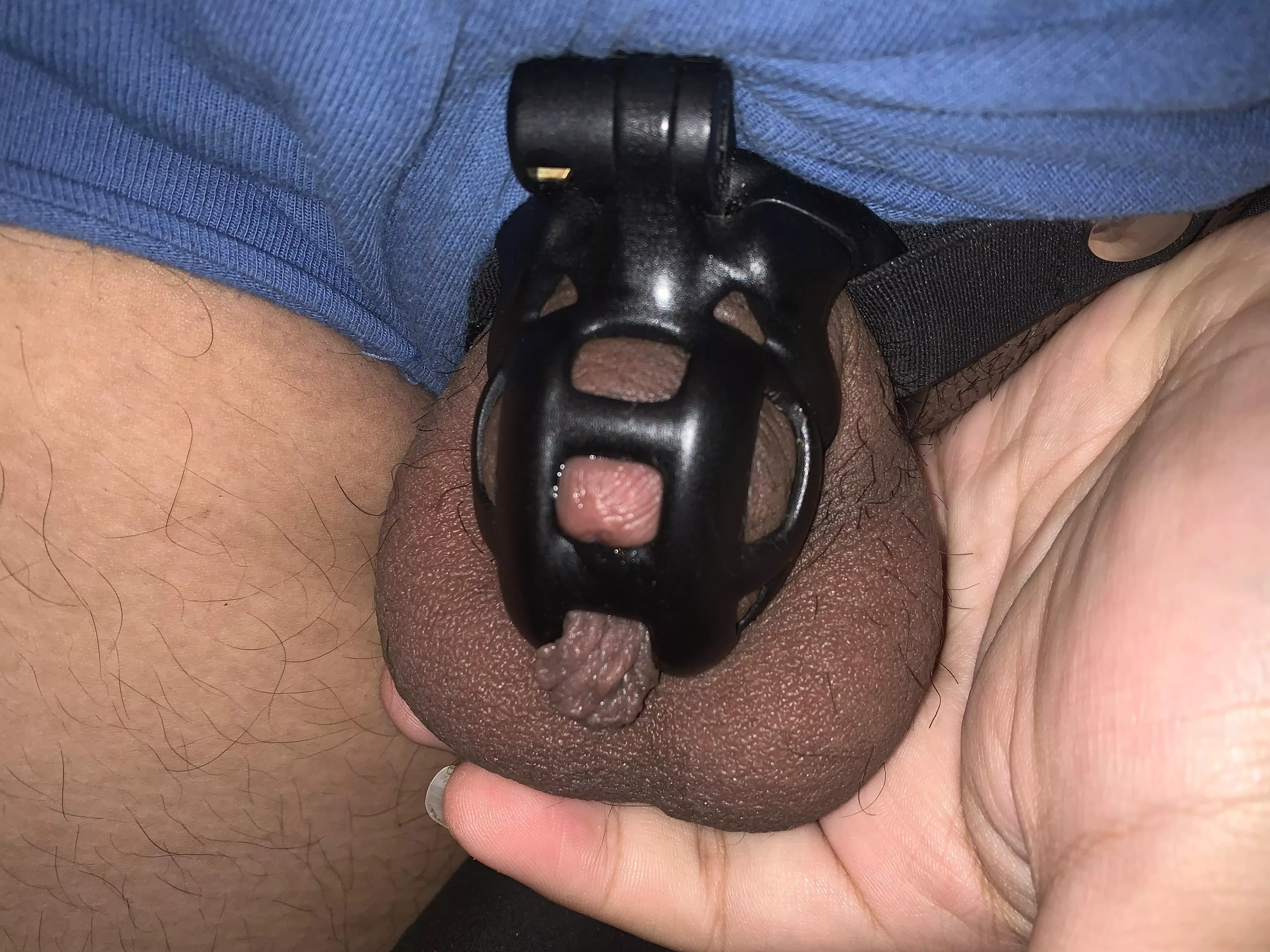 18 y/o - day 25 of locktober, I really have been so horny recently, this really has been my longest time locked ever so far… do you think I should stay locked for the rest of 2021? 18 y/o - day 25 of locktober, I really have been so horny recently, this really has been my longest time locked ever so far… do you think I should stay locked for the rest of 2021?
