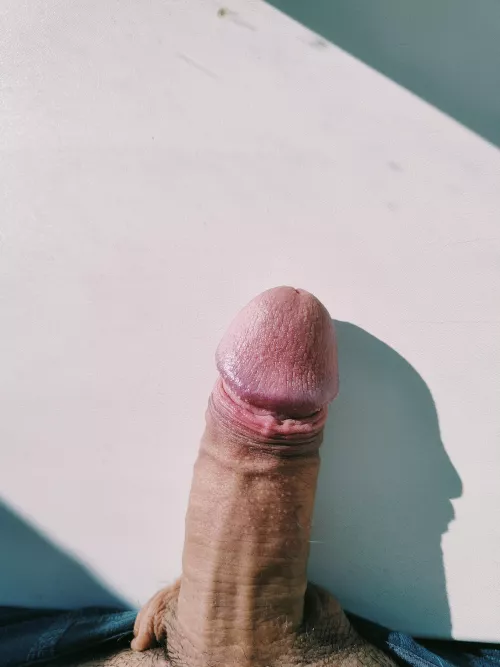 18 Y.O pretty cock👌😌