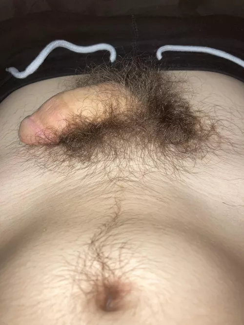 18M Got some morning pubes, would you help give me a morning wood?