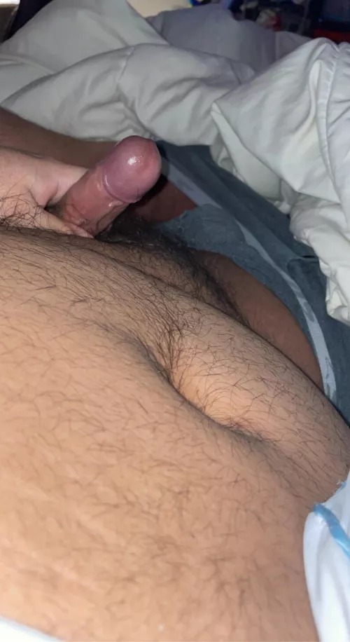 19 dms open