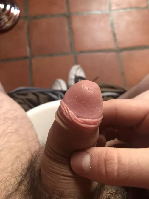 [19] feel free to dm me