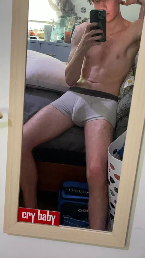 19 m young stud bulge