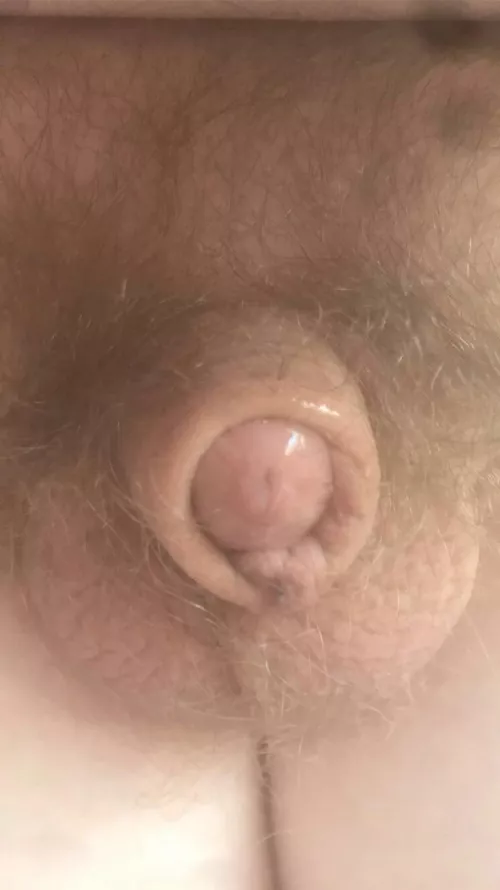 [19] My little dick.