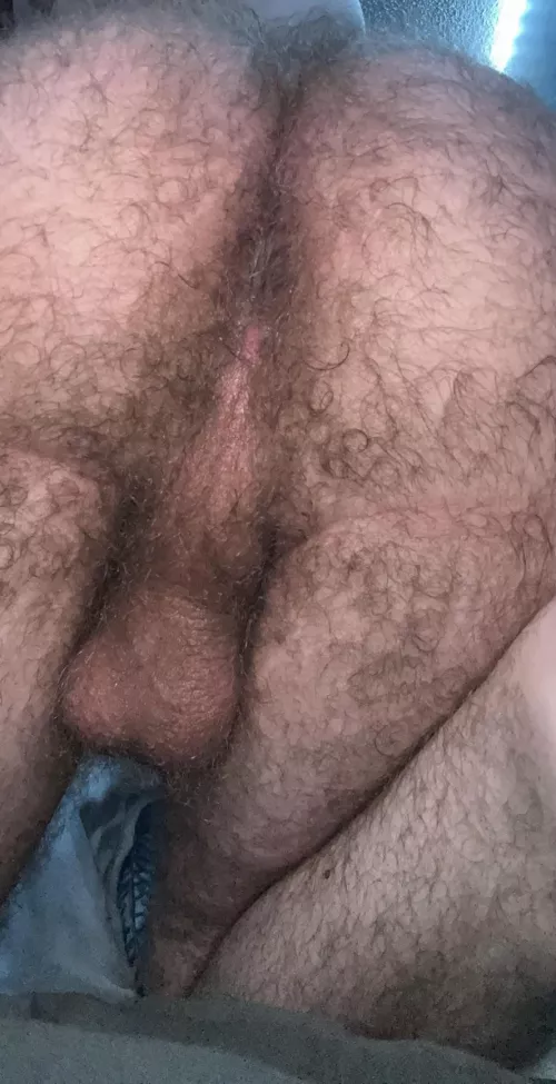 (19) taint and hole as hairy as can be