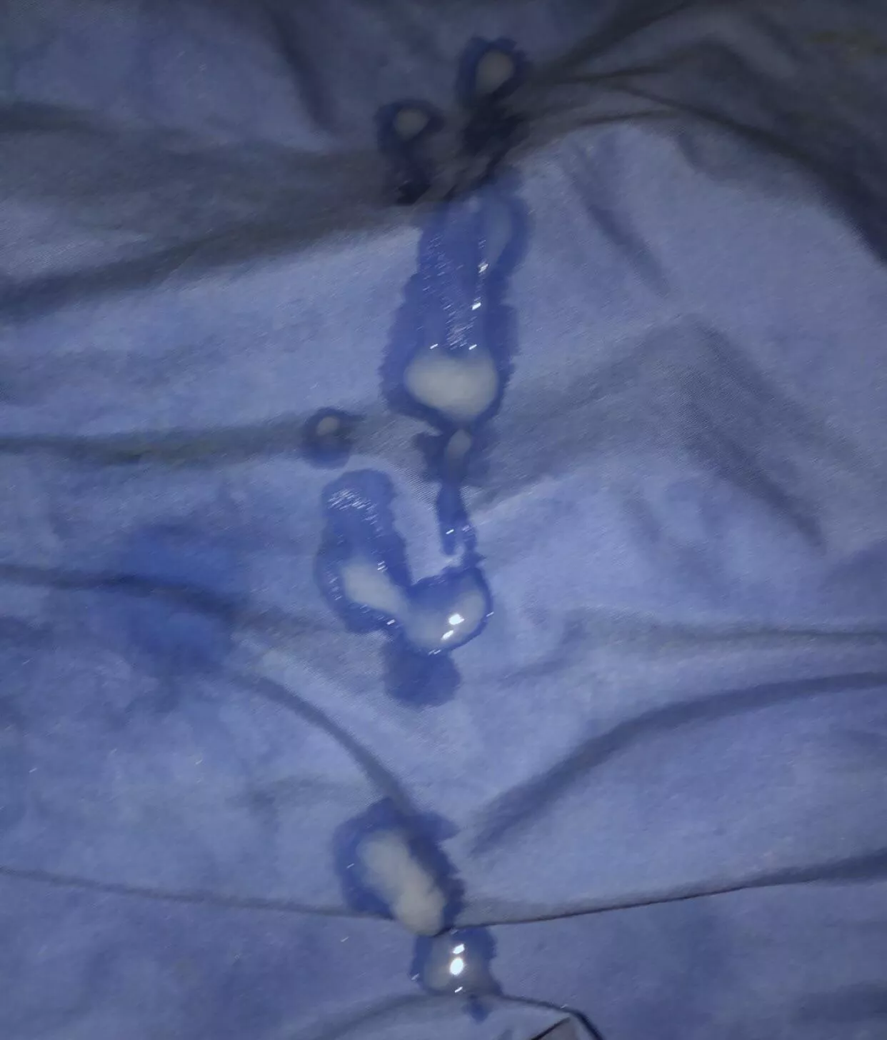 [19] wish it went inside a 🐱