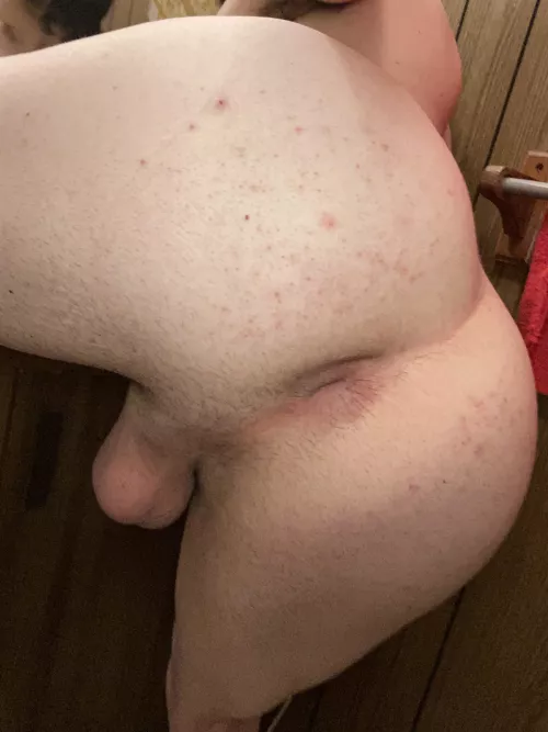 (19) would you give me a Christmas cream pie