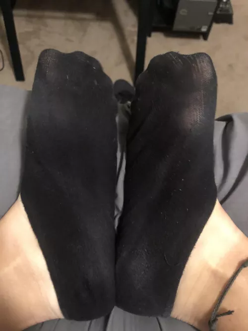 2 days of wear inside my old worn out vans. Theyβre damp with sweat. Dm for a priceπ