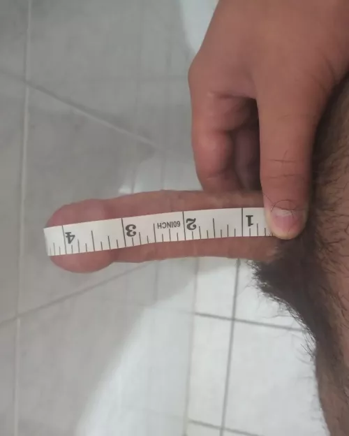 (20) 4.5 inch uncut cock