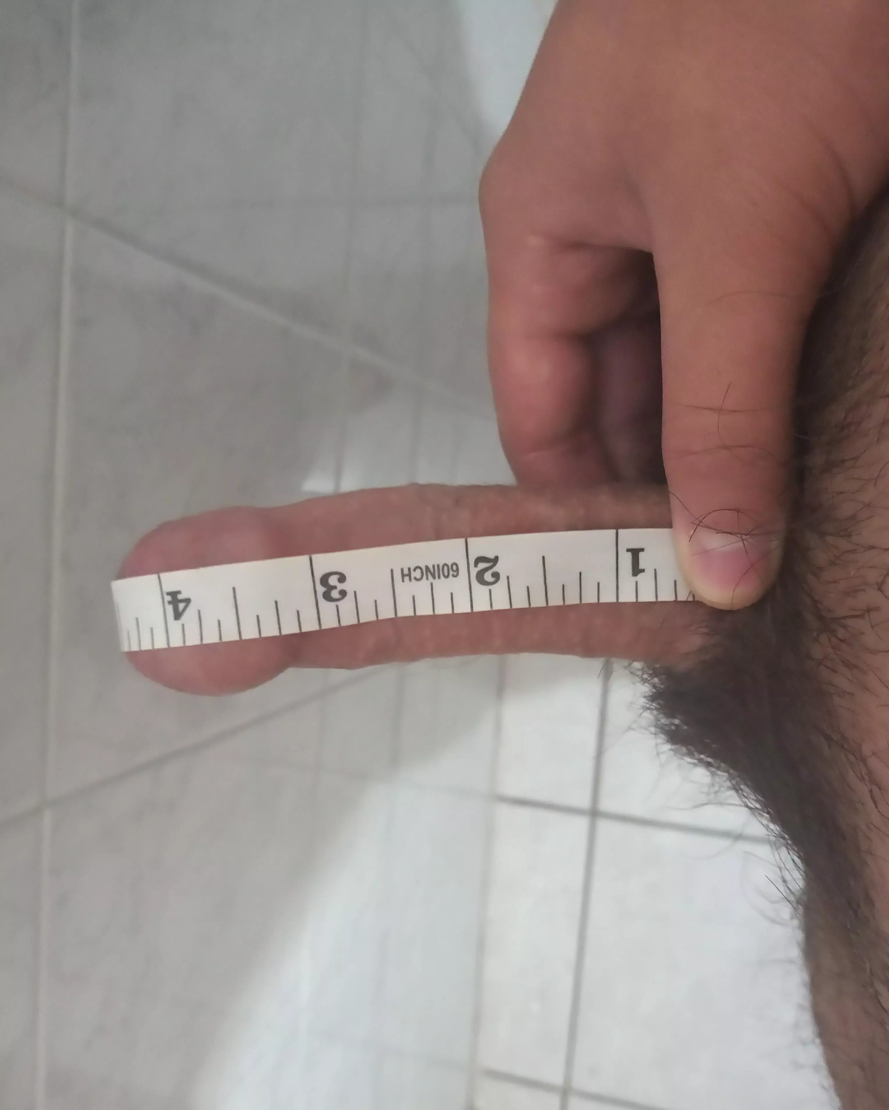 (20) 4.5 inch uncut cock