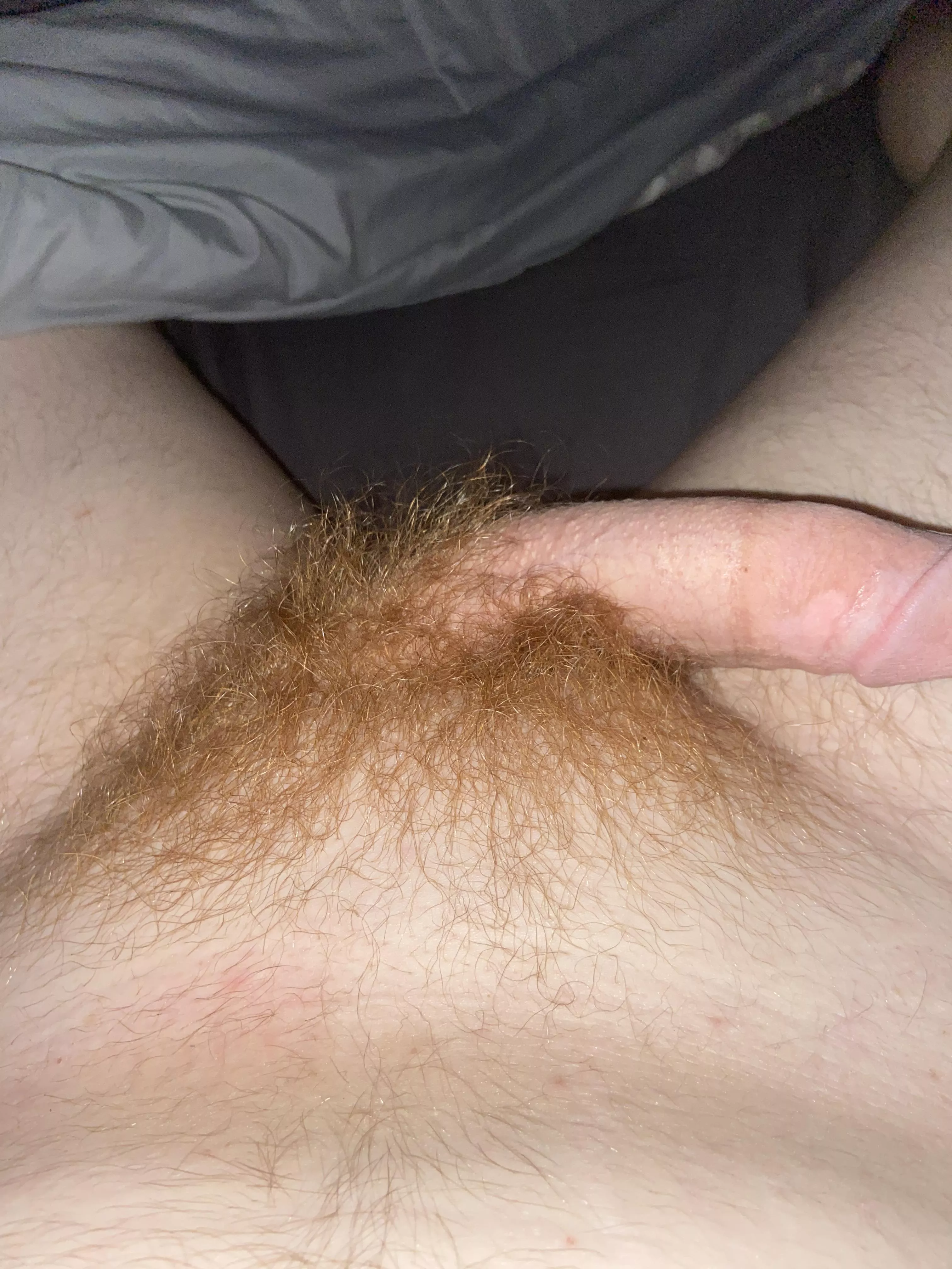 [20] feeling hairy rn.