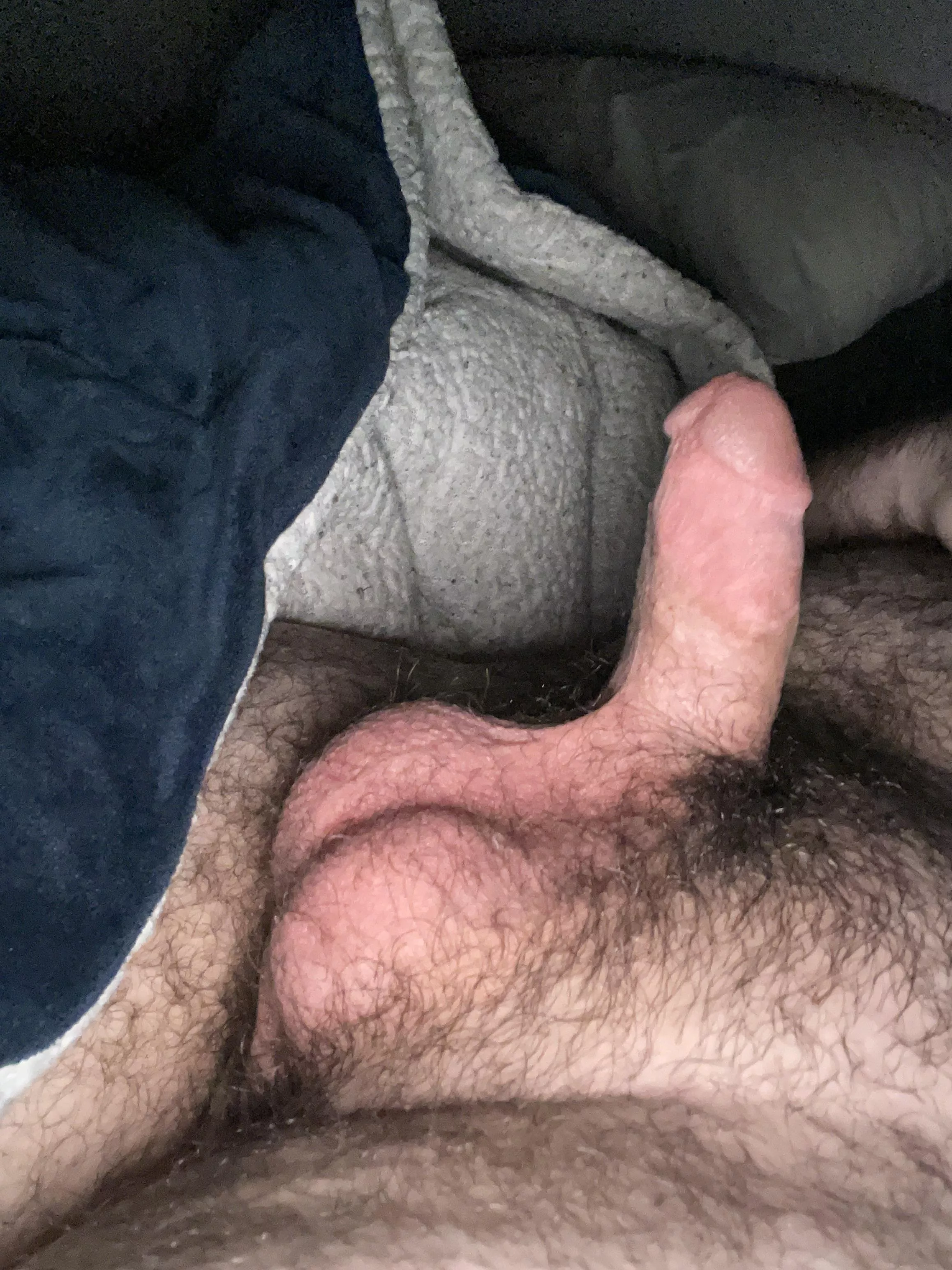 [20] new year same size