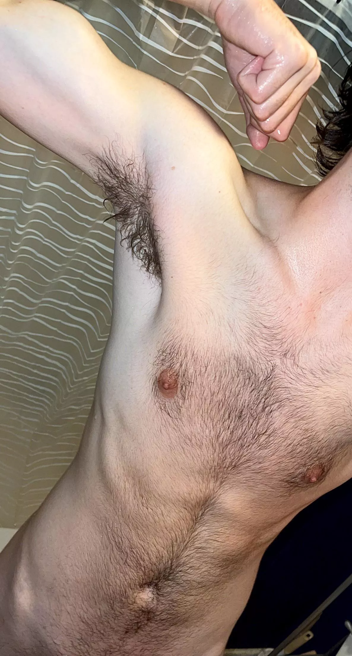 20M. Hairy twink. Regrowing after shaving it 2 months ago. 20M. Hairy twink. Regrowing after shaving it 2 months ago.