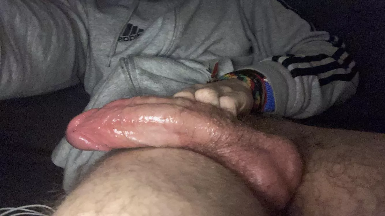 [21] Built Like a Horse