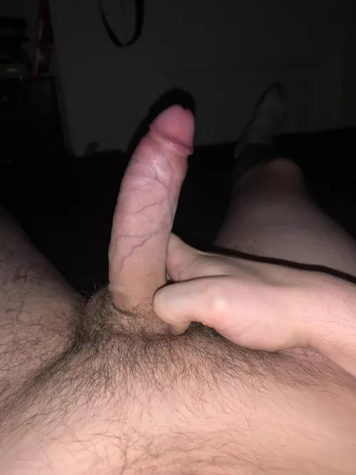 21 - sharknadopv2 😎