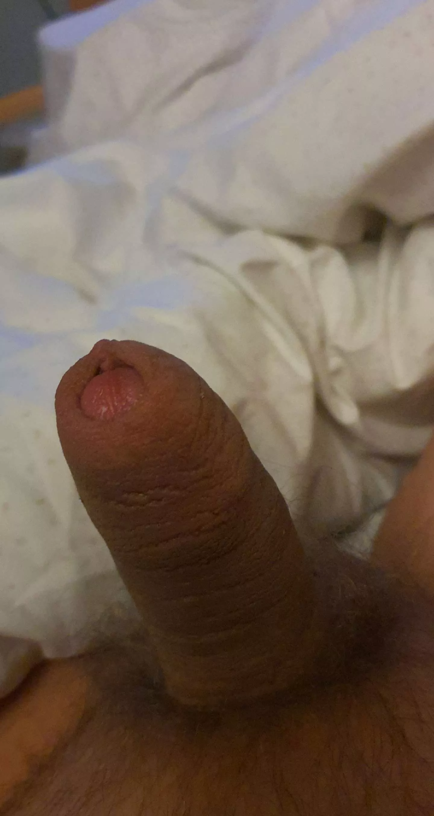 (21) year old looking for guys 18-22 ❤❤ I'm chubby and have a small dick ❤ dm for social media (21) year old looking for guys 18-22 ❤❤ I'm chubby and have a small dick ❤ dm for social media