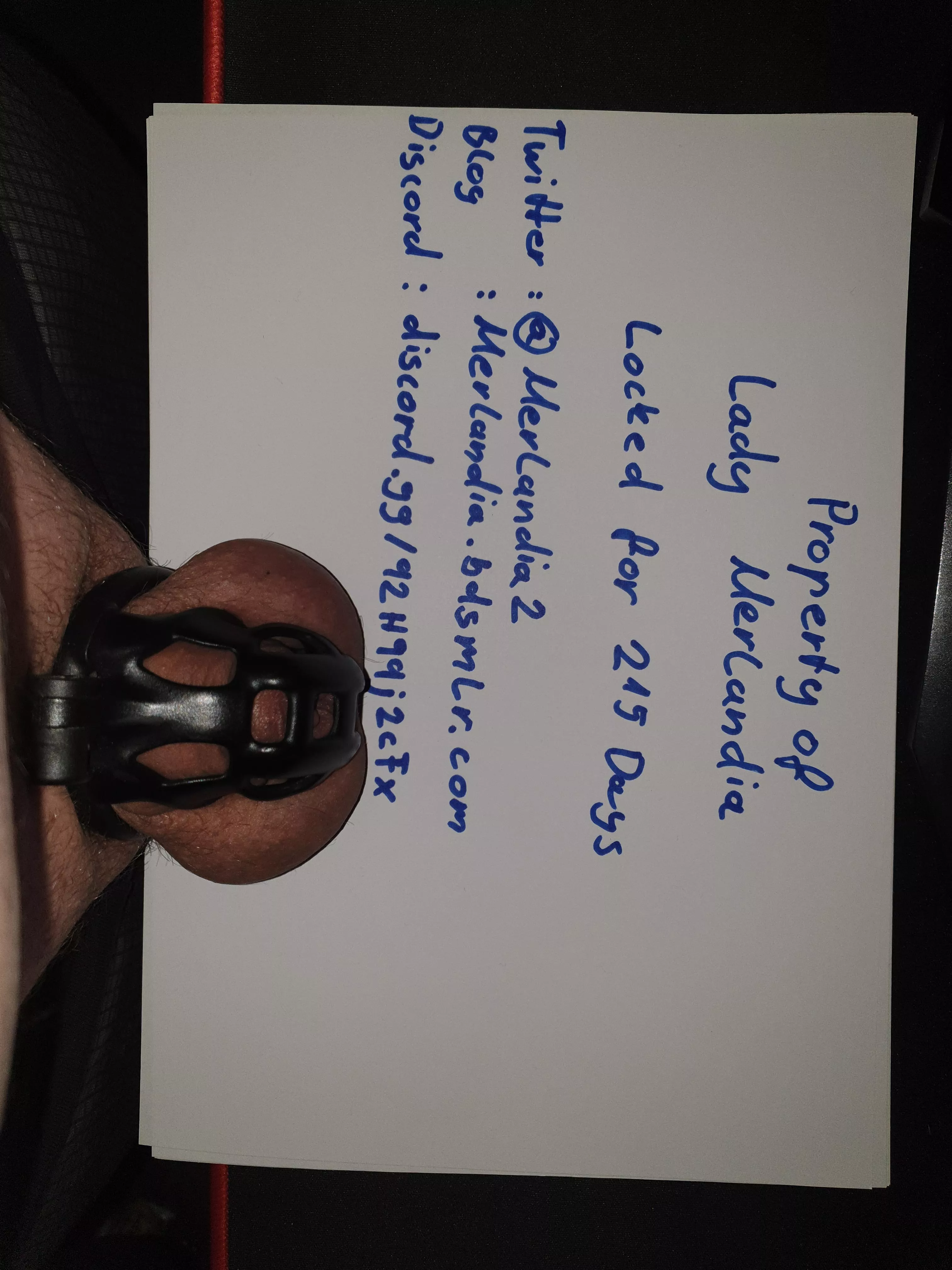 215 days in chastity and my mistress is looking for New slaves