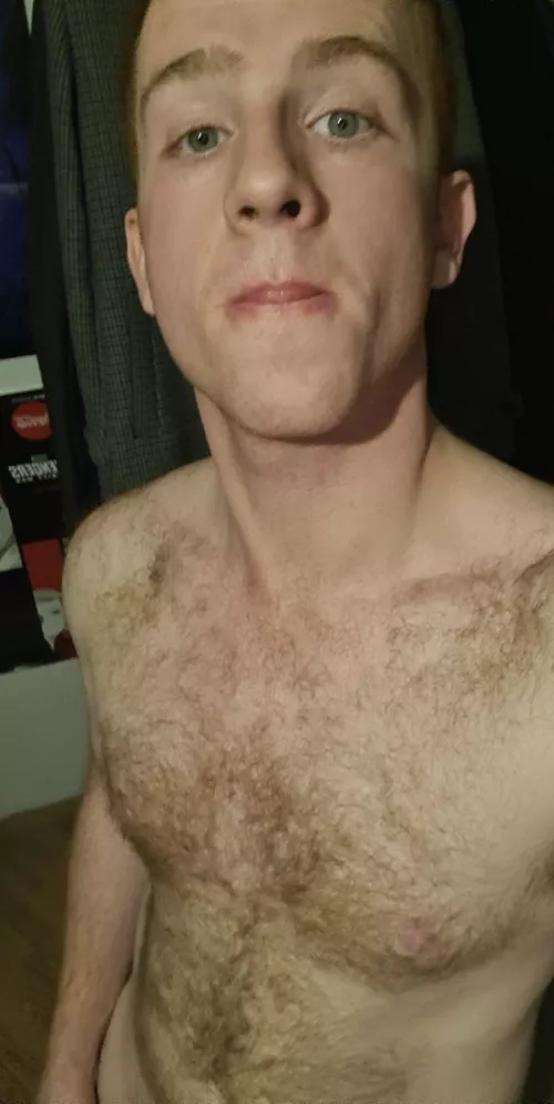 23 hairy ginger top hmu if your twink or a twunk