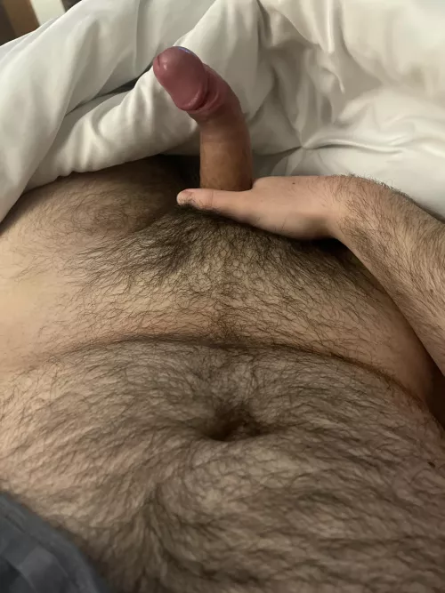 [23] m dms open