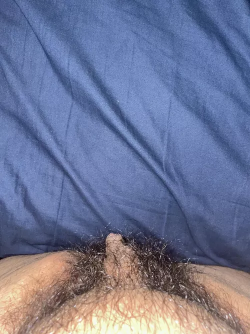 (23) my tiny little cock