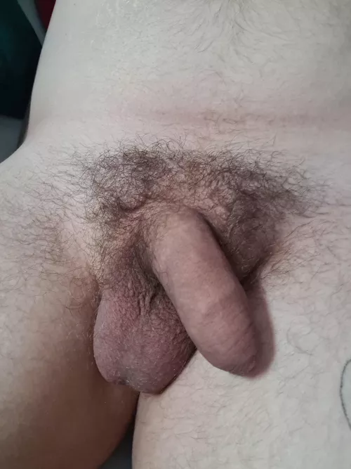 (24) like my bush? ;)