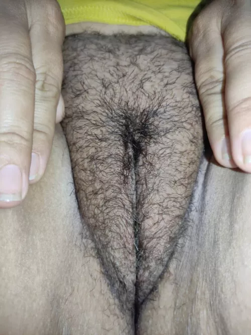 24[F] welcome to the Jungle